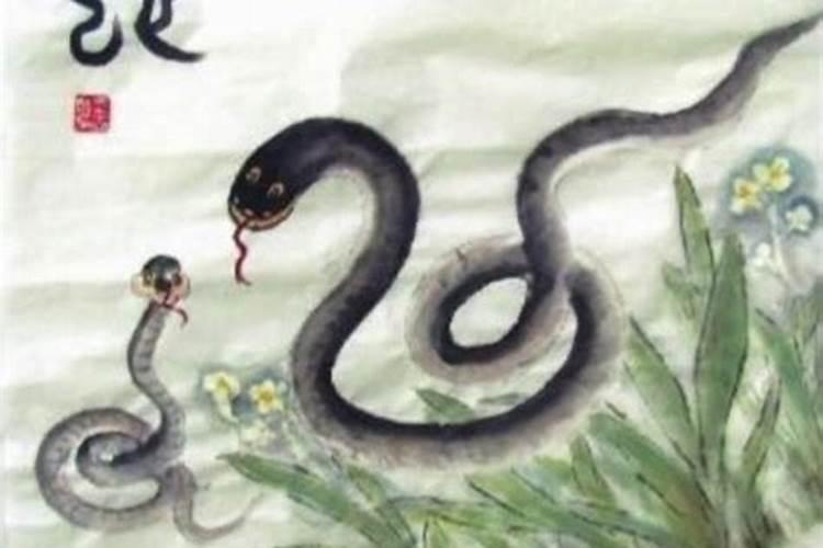 生肖蛇十一月份出生运势