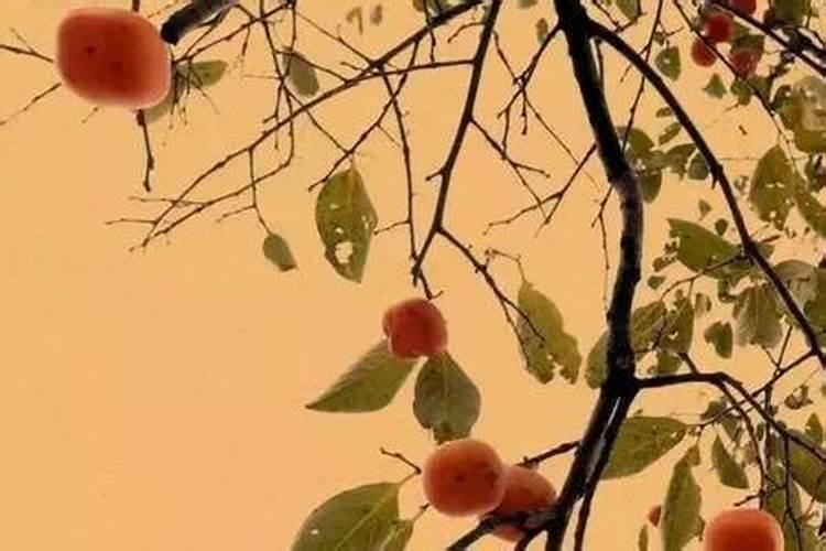 事事不顺心如意啥意思？