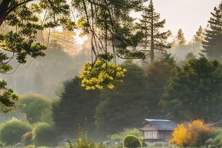 犯太岁什么时候去化？