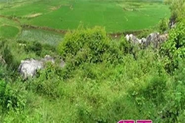 祖坟风水如何看旺衰？