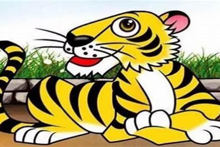 属马男属虎女合婚吗？