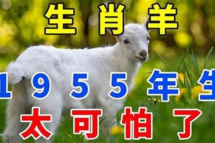 1955年出生男2026年运势