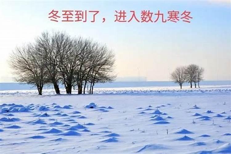 明天冬至看运气