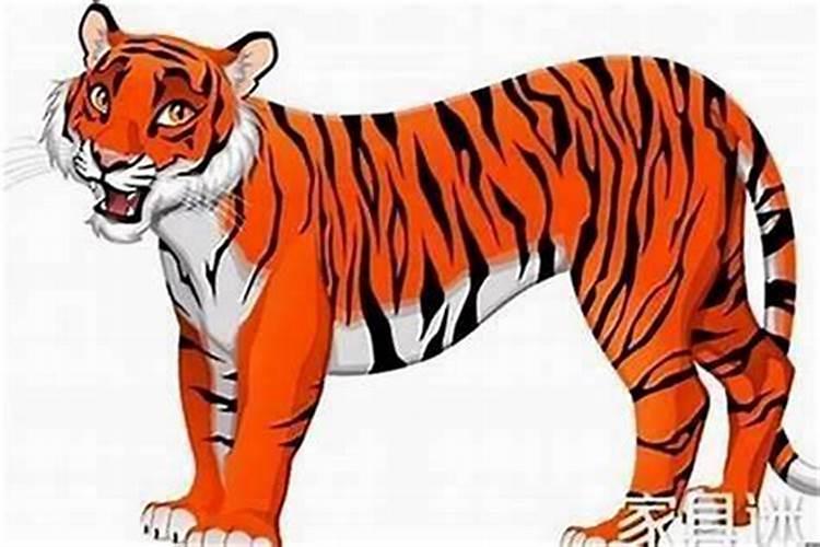 属虎12年运势2026年运程如何？