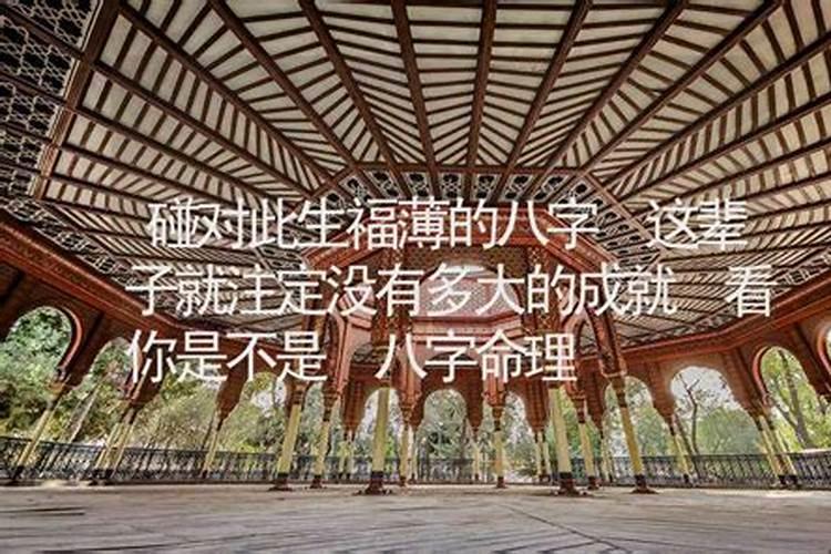 这辈子注定和你八字不合