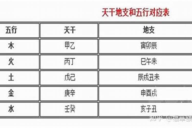 大运看天干地支还是纳音五行？