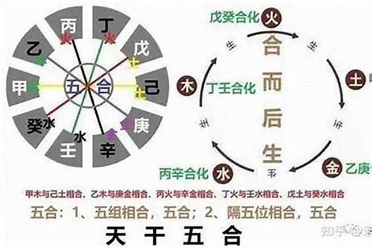 八字戊癸合代表什么？