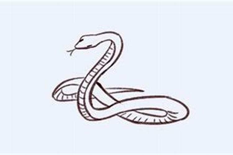 梦到自己把蛇砍成几段？