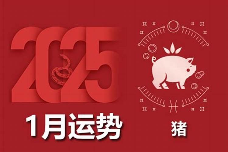 95年出生猪2026年运程