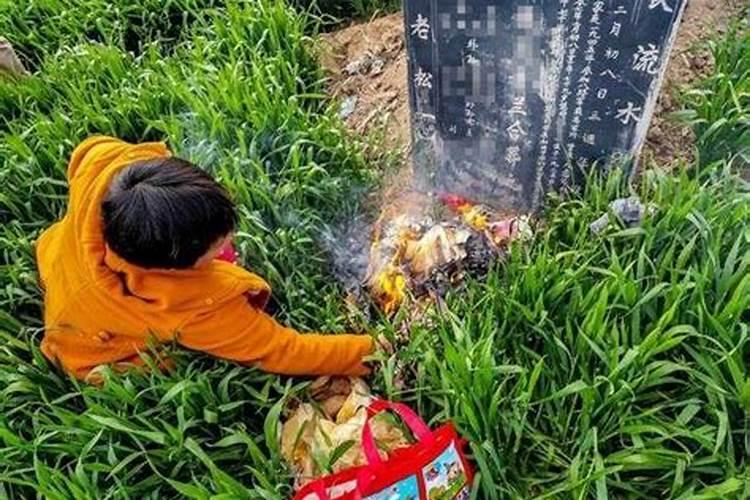 清明节烧纸禁止新闻