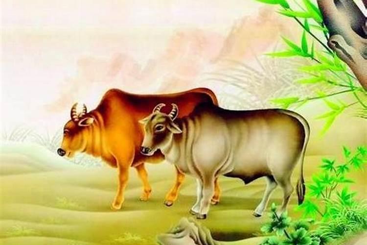 男牛女蛇婚姻好并不顺利