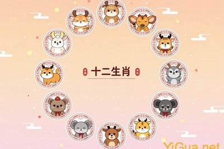 属相不合可以婚配吗？