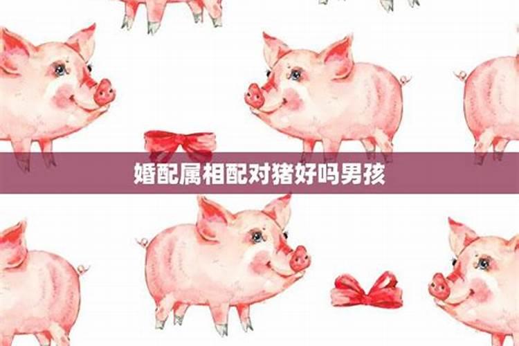 两猪属相能婚配吗？