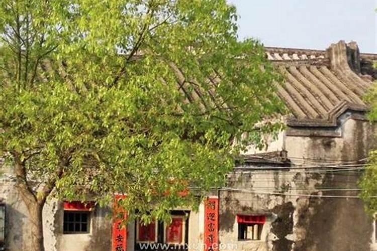 梦见婆婆回老家去了