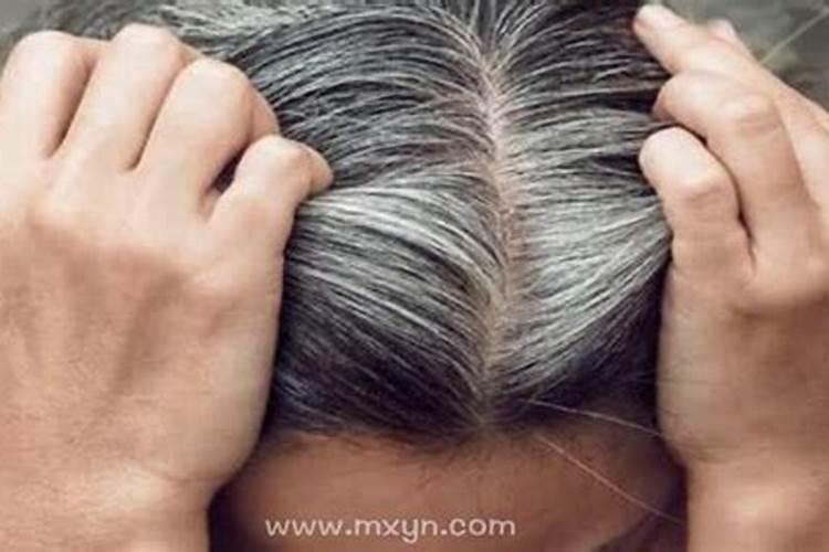 梦见长白头发是什么意思？