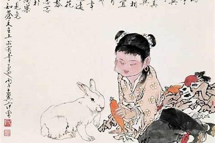 属兔人下半年的运程