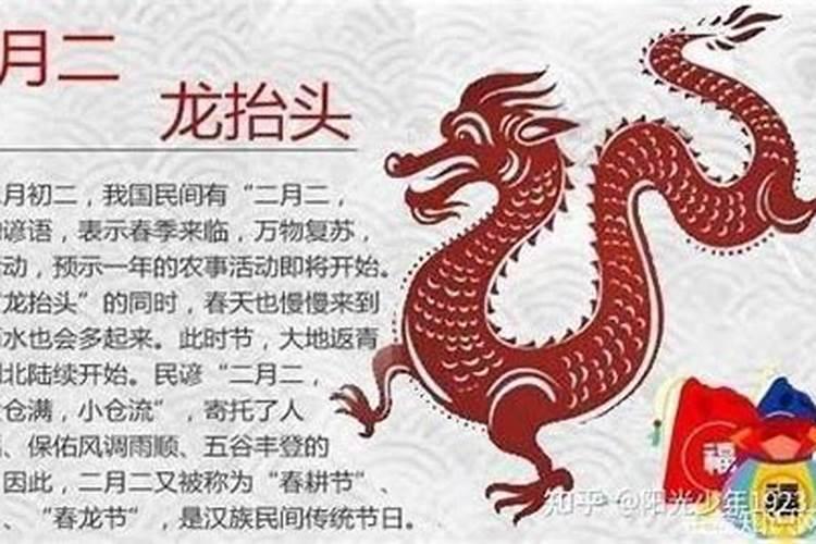 龙抬头不能算命吗？