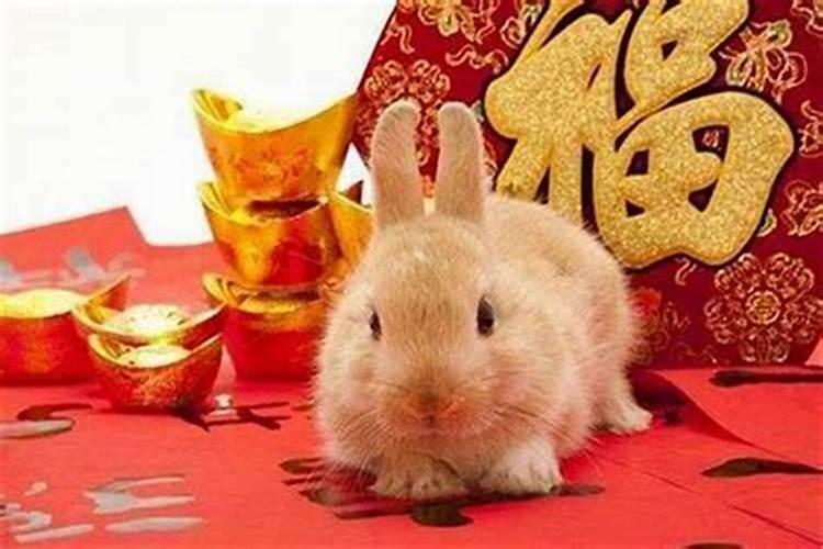 属兔的今年犯太岁应该怎么办？