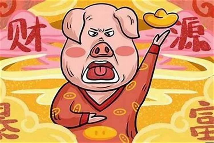 女猪男龙八字合吗？