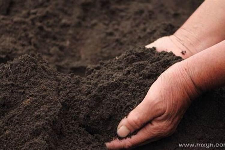 梦见铲土是什么预兆？