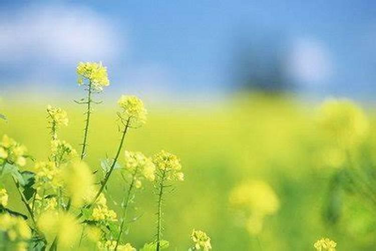 七月十五出生的人的性格