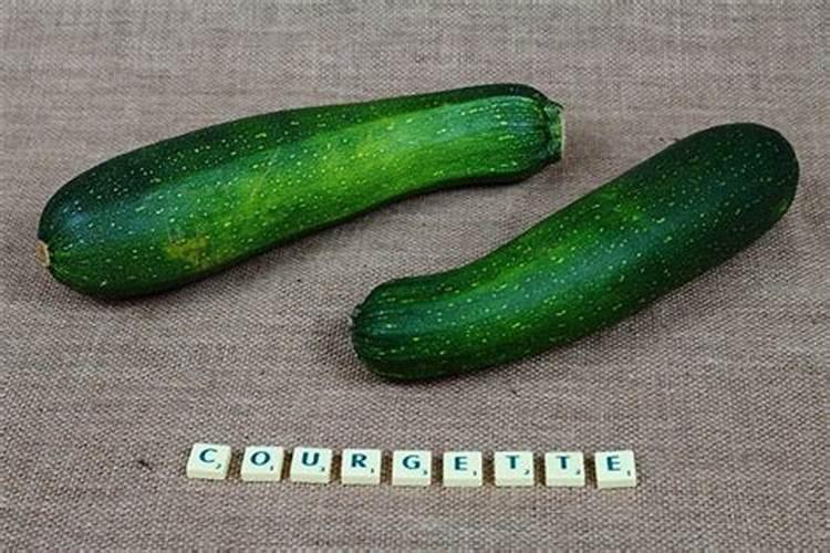 梦见西葫芦是什么意思？