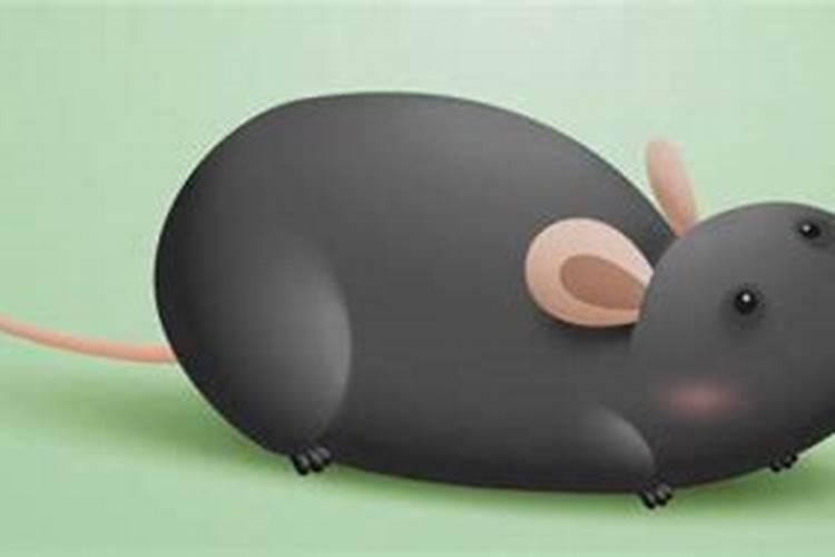 孕妇梦见老鼠是胎梦吗？