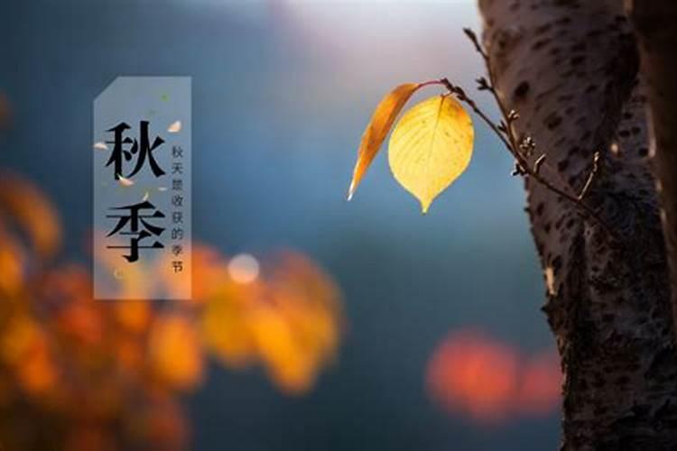 今年秋分是几月几日几点几分几秒？