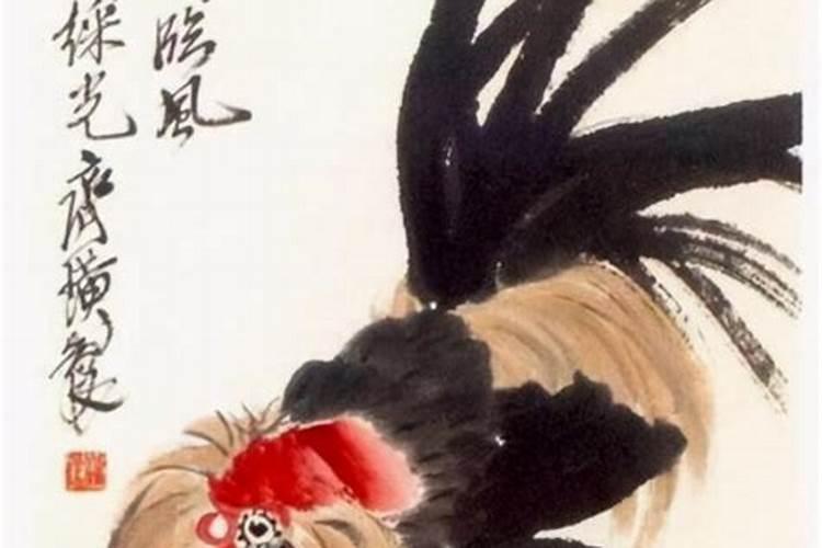 鼠腊月好不好？