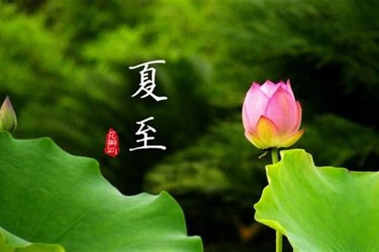 夏至几月几日开始？