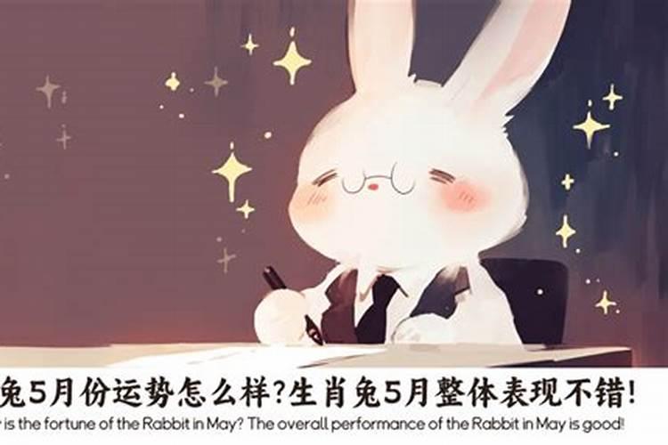 属兔农历5月运势如何？
