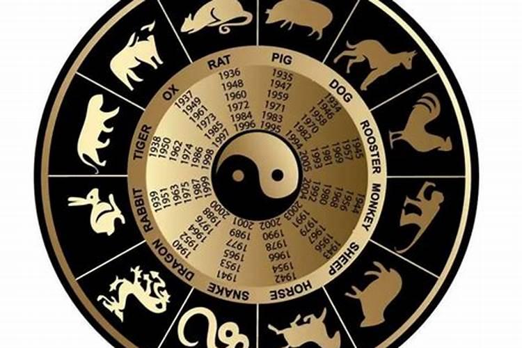 一九九六属鼠运程一月出生