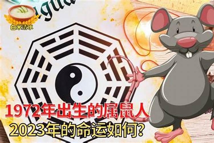 1972年出生的属鼠人2026年运势