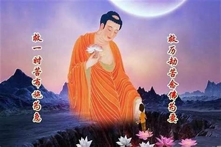 事业上学业上的运势如何？