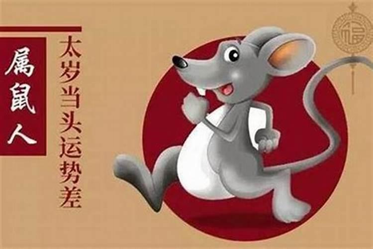 属鼠和属什么的合八字？