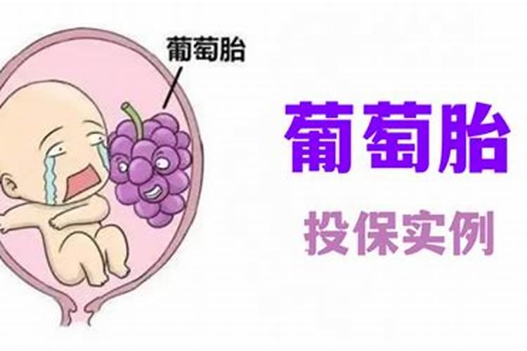 梦到葡萄是胎梦吗？