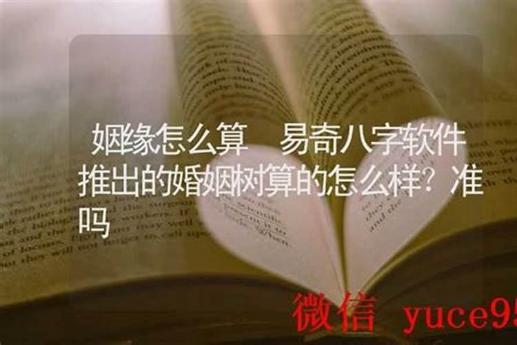 软件算姻缘准吗？