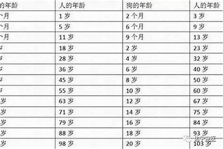 49岁是本命年还是48岁？