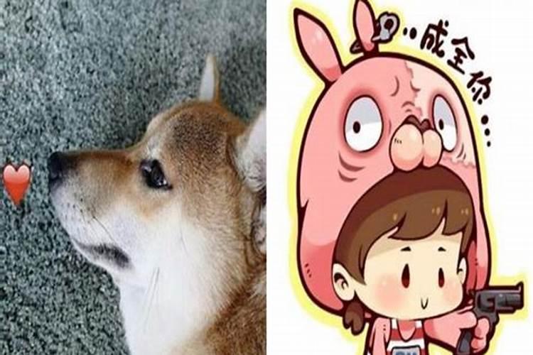 做夫妻和合法事有效果吗？