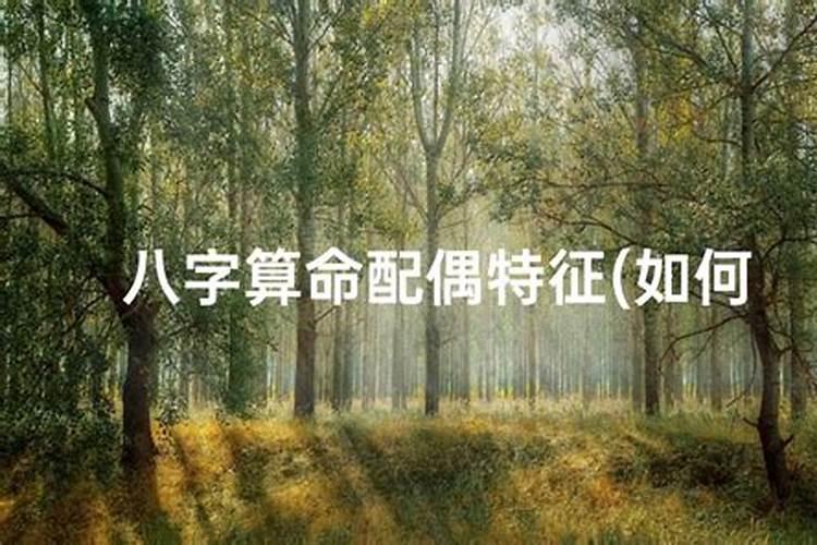 八字看配偶家境生活环境