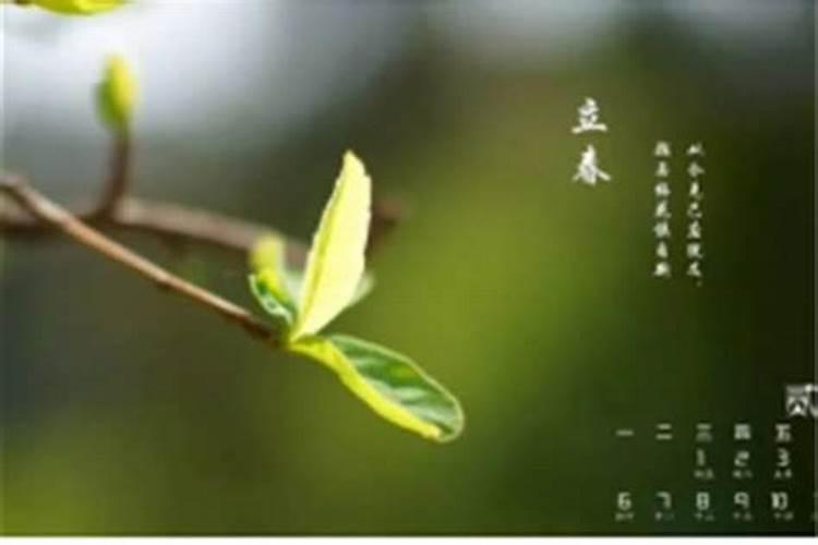 2003几月立春？