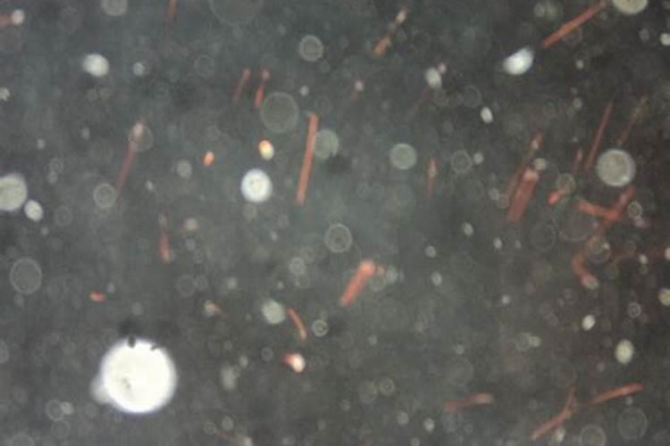 堕胎一次就要超度一次