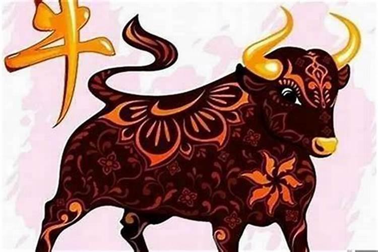 97年丑牛哪年运势好？