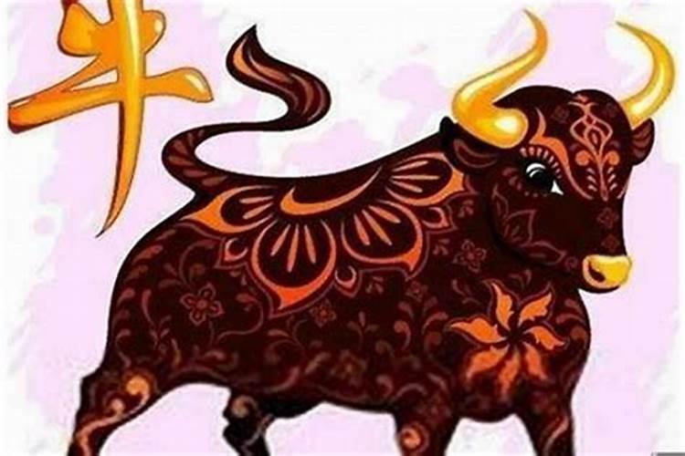 女属牛的2026年运势如何？
