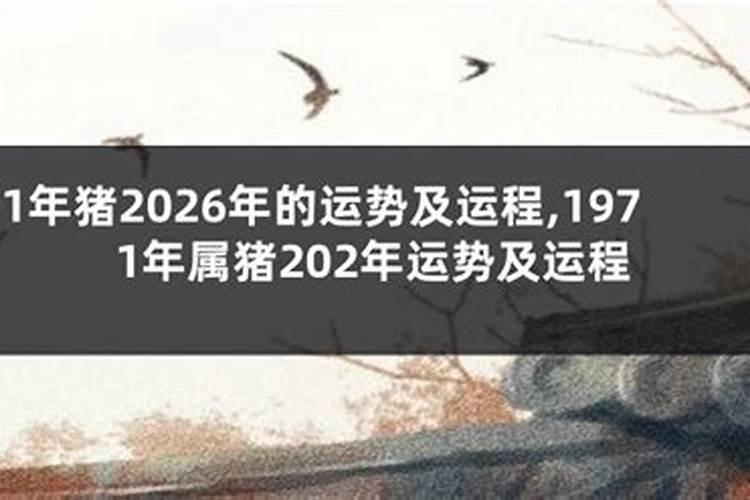 1971年在2026年的运势