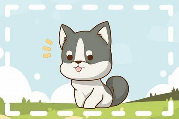 1970狗运势几月出生好？