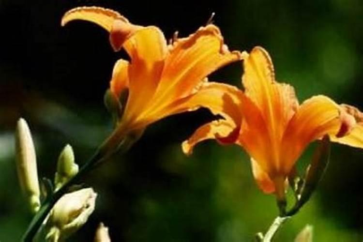 农历十月初一可以盖房吗？