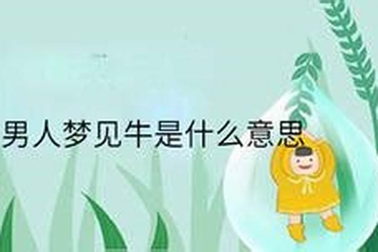 梦到牛是什么征兆男性？