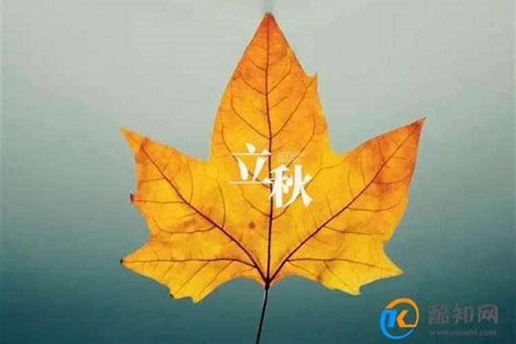 立秋代表哪三个数字含义？
