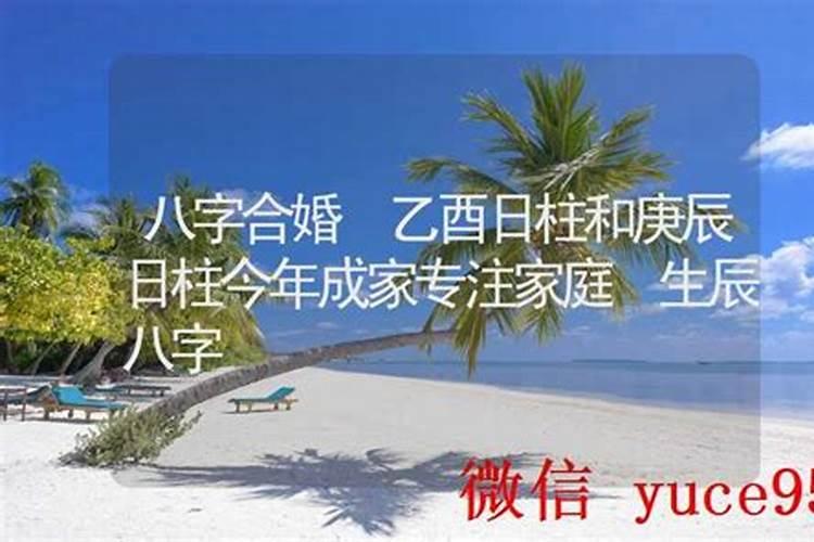 八字算命乙酉日柱